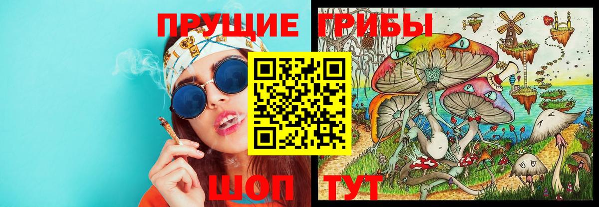 Галлюциногенные грибы Psilocybine cubensis Пермь